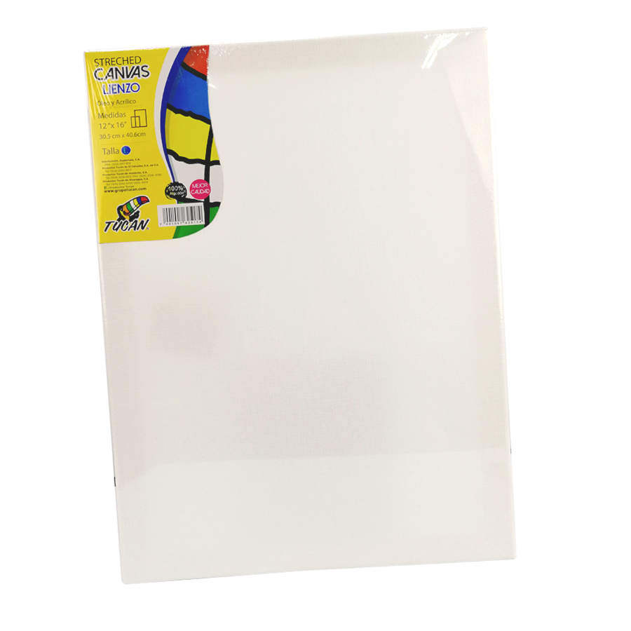 Stretched Canvas Tucan 12 X16