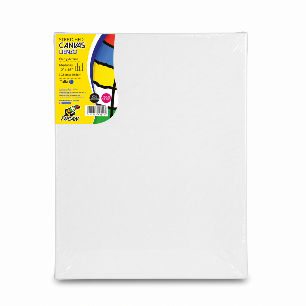 Stretched Canvas Tucan 12 X16