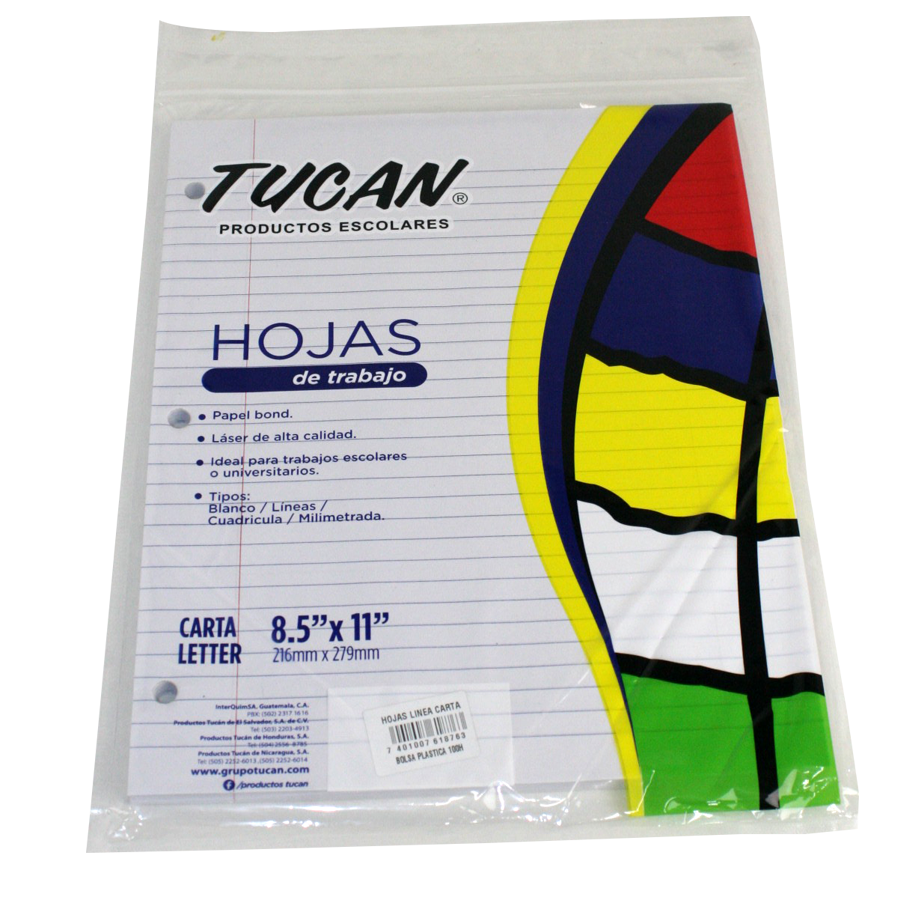 Hojas Linea Carta Bolsa 100H